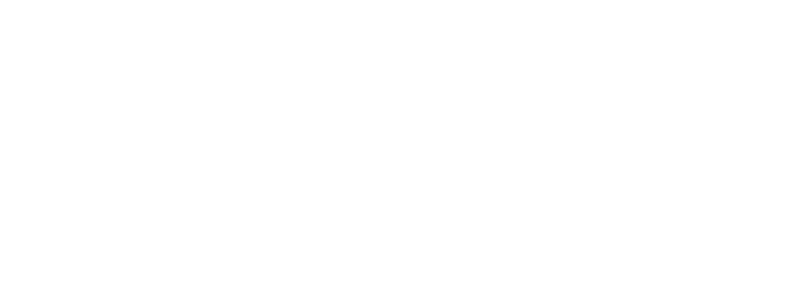 Tacconi Motofarm